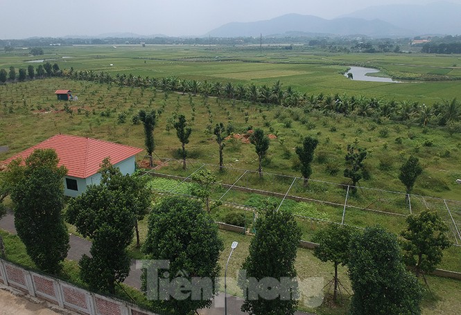 sở khdt, nguyễn mạnh quyền, hà nội, giải ngân, đầu tư công, chậm tiến độ, dự án cấp thành phố, hoài đức, cầu giấy, quốc oai, đỗ duy chiến, đất đai, người nhà, - ảnh 9