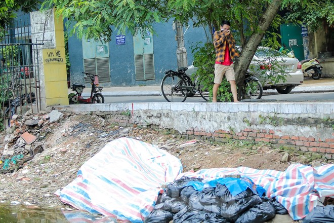 Cá chết hàng loạt tại hồ Trúc Bạch - ảnh 7