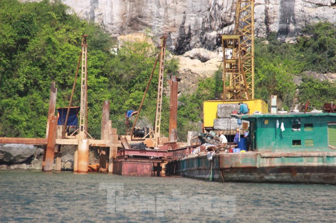 Vùng lõi di sản vịnh Hạ Long đang bị