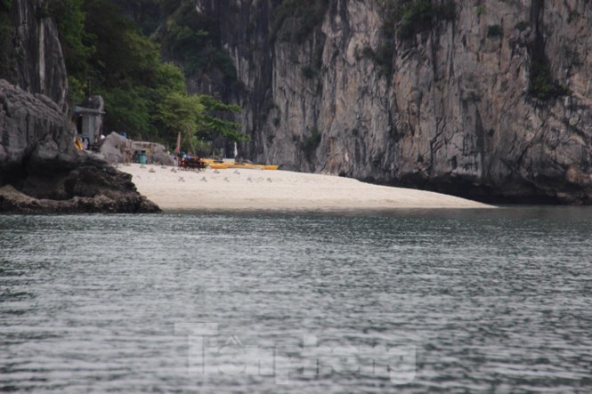 Vùng lõi di sản vịnh Hạ Long đang bị