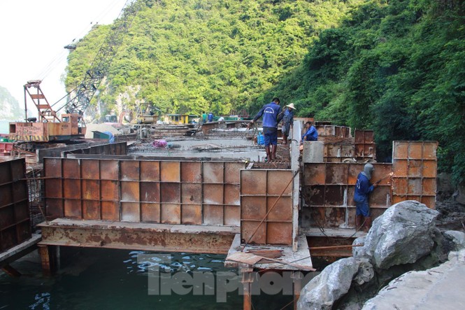 Vùng lõi di sản vịnh Hạ Long đang bị