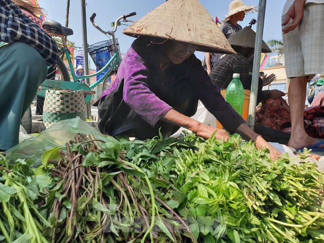 Ngất ngưởng giá thịt trâu chọi Đồ Sơn - ảnh 6