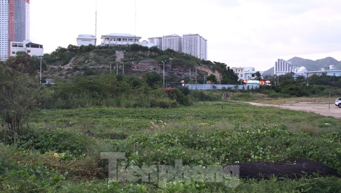 Quyết thu hồi dự án 33 triệu USD lấn biển Nha Trang - ảnh 8
