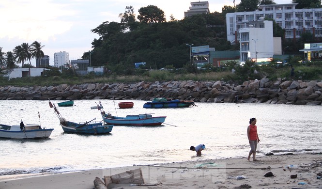 Quyết thu hồi dự án 33 triệu USD lấn biển Nha Trang - ảnh 5
