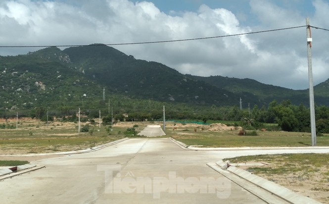 Khánh Hoà: Khu dân cư hơn 34ha được xây dựng không phép - ảnh 7