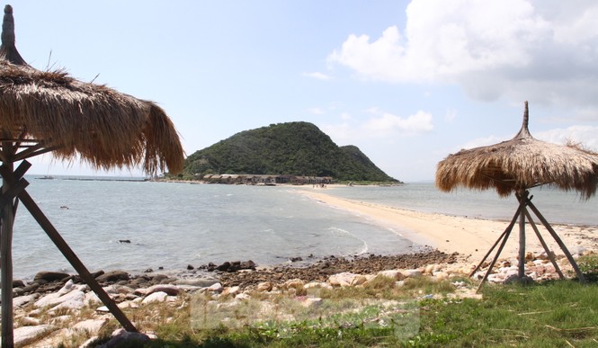 Độc đáo con đường dưới biển Khánh Hoà - ảnh 6