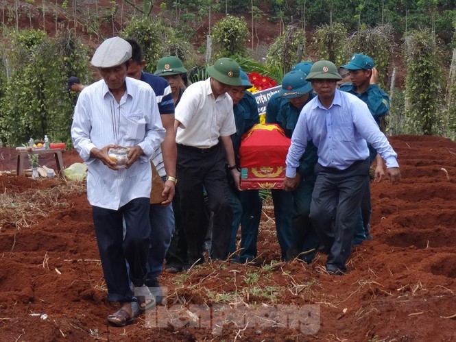  Phát hiện hài cốt liệt sĩ trong rẫy cà phê - ảnh 2
