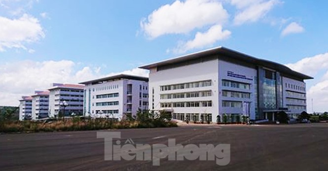 Sở Y tế Đắk Lắk sẽ buộc 10 người dùng bằng giả thôi việc - ảnh 2