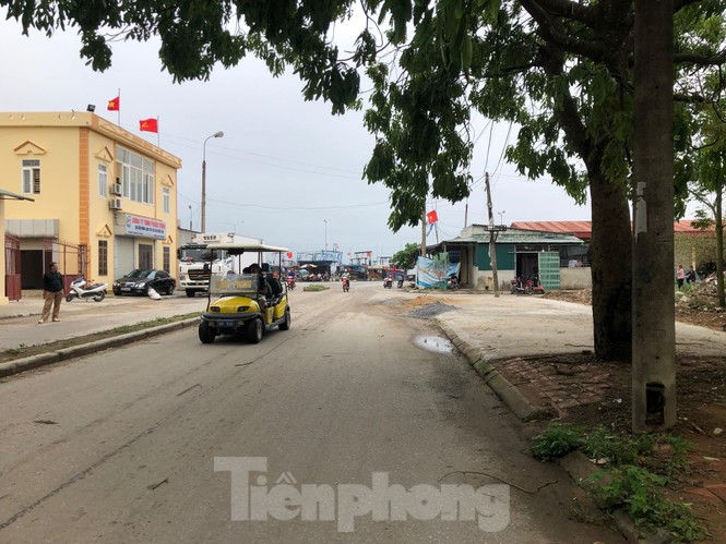 Vụ cá 'khủng' bị xẻ bán ở Thanh Hóa: Không người mua cá sau khi cắt mổ - ảnh 2