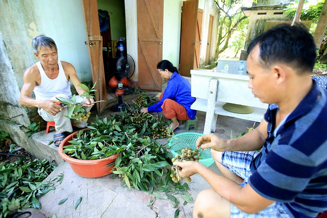 Thăm kinh đô nhãn lồng nức tiếng ngàn xưa - ảnh 10