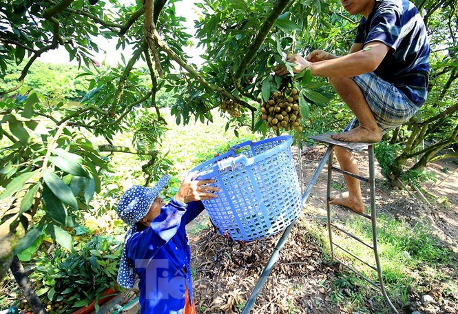 Thăm kinh đô nhãn lồng nức tiếng ngàn xưa - ảnh 5