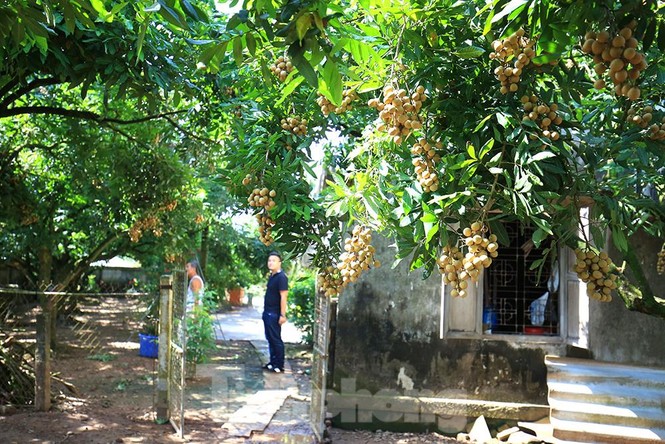 Thăm kinh đô nhãn lồng nức tiếng ngàn xưa - ảnh 7