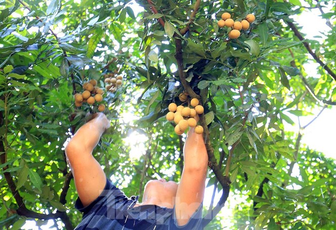 Thăm kinh đô nhãn lồng nức tiếng ngàn xưa - ảnh 8
