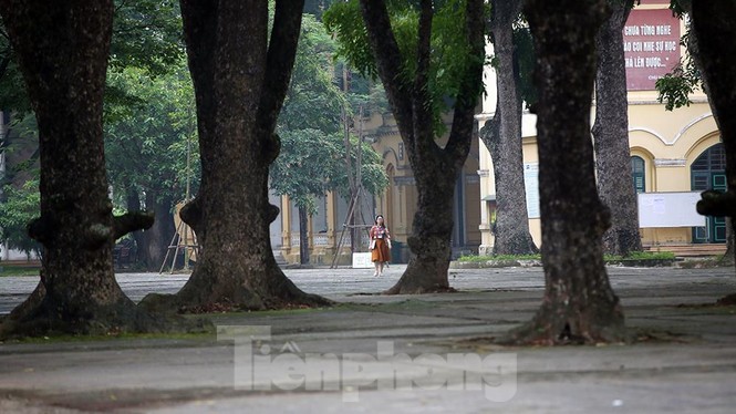 Hơn 75.000 thí sinh Hà Nội bước vào môn thi đầu tiên trong tiết trời dịu mát - ảnh 9