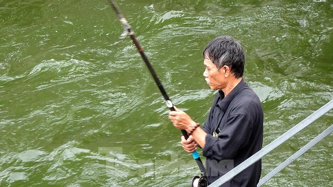 Nước sông Tô Lịch trong veo sau bão, cần thủ thỏa sức buông câu bắt cá - ảnh 8