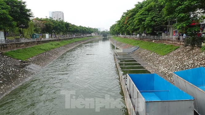 Nước sông Tô Lịch trong veo sau bão, cần thủ thỏa sức buông câu bắt cá - ảnh 11