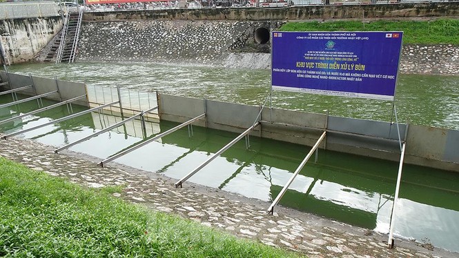 Nước sông Tô Lịch trong veo sau bão, cần thủ thỏa sức buông câu bắt cá - ảnh 13