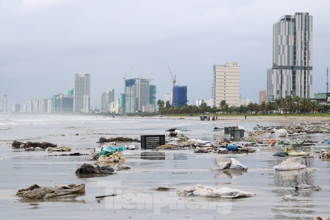Bãi biển Đà Nẵng ngập rác sau bão - ảnh 2