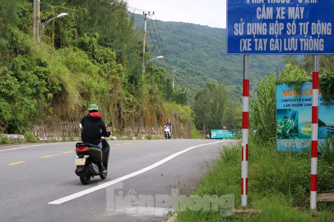 Vì sao muốn lên bán đảo Sơn Trà người dân phải đeo thẻ? - ảnh 2