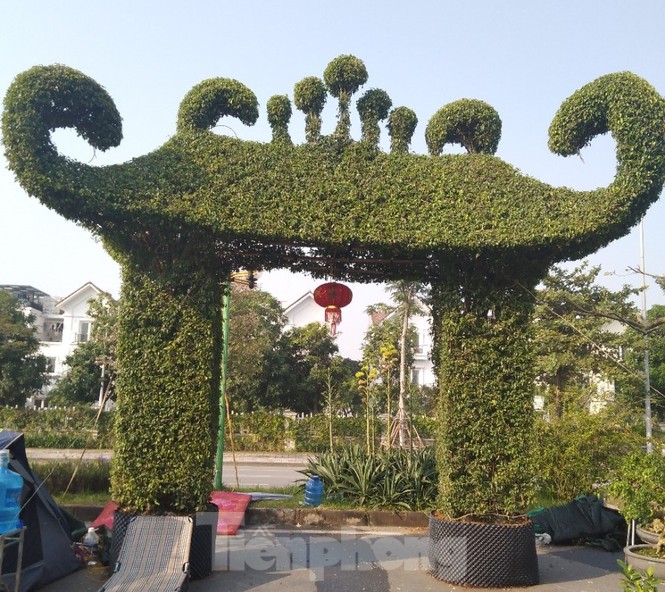 Mãn nhãn với cổng bằng cây đồ sộ 30 năm tuổi tại hội chợ sinh vật cảnh - ảnh 1