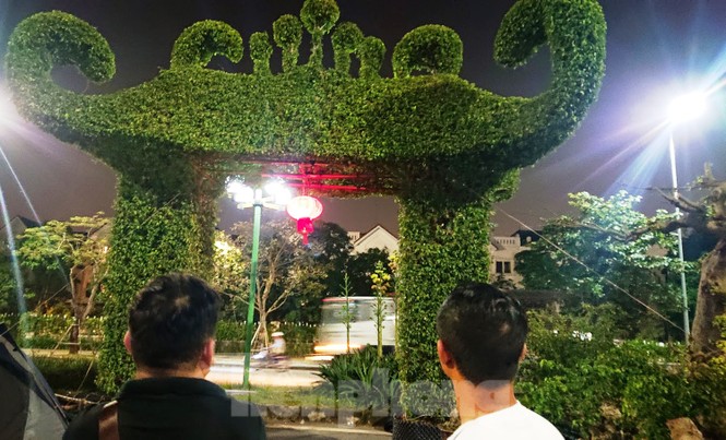 Mãn nhãn với cổng bằng cây đồ sộ 30 năm tuổi tại hội chợ sinh vật cảnh - ảnh 2
