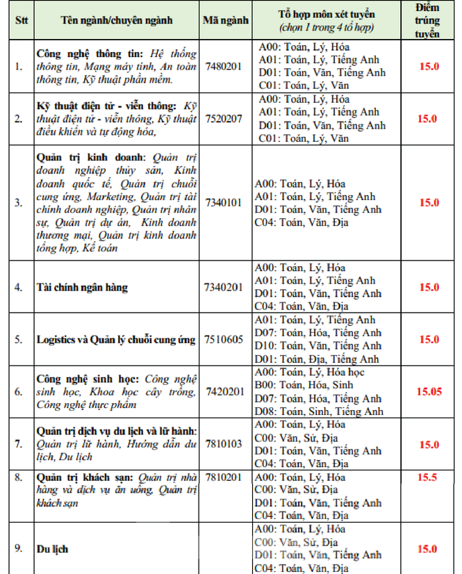 Điểm chuẩn các trường ĐH Văn Hiến, Lạc Hồng, Ngoại ngữ Tin học ra sao? - ảnh 1