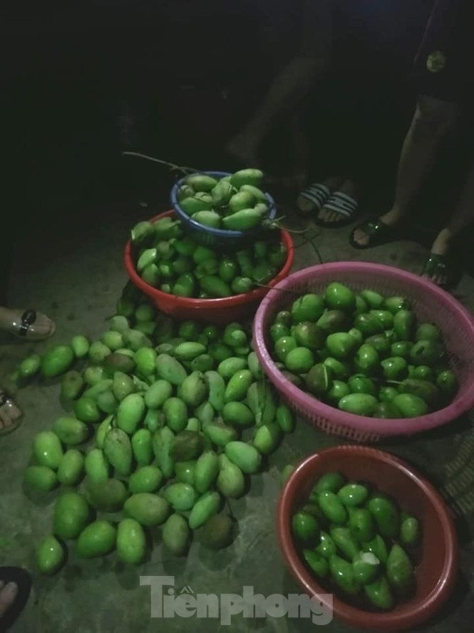 Mưa đá to như nắm tay trút xuống Yên Bái, nhiều nhà dân hư hỏng - ảnh 5