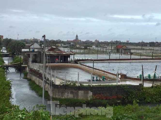 Bão tan, người dân Nam Định và Thái Bình thở phào - ảnh 6