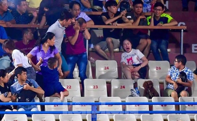 Lãnh đạo đội bóng Nam Định xin lỗi nạn nhân, CĐV cả nước về sự cố pháo sáng - ảnh 3