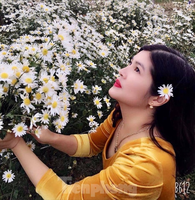 Thảm cúc họa mi trắng tinh khôi ở Nam Định 'hút' giới trẻ - ảnh 9