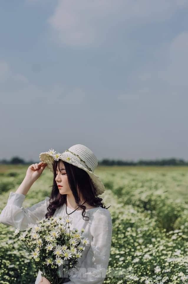 Thảm cúc họa mi trắng tinh khôi ở Nam Định 'hút' giới trẻ - ảnh 11