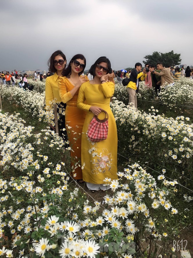 Thảm cúc họa mi trắng tinh khôi ở Nam Định 'hút' giới trẻ - ảnh 18