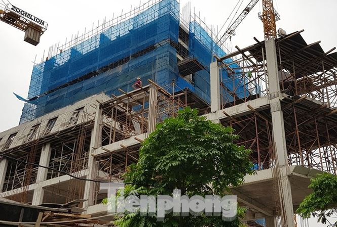 Ồ ạt mua đất là 'chôn' tiền vào đất; Alibaba lại bị cảnh báo rao bán dự án 'ảo' - ảnh 2