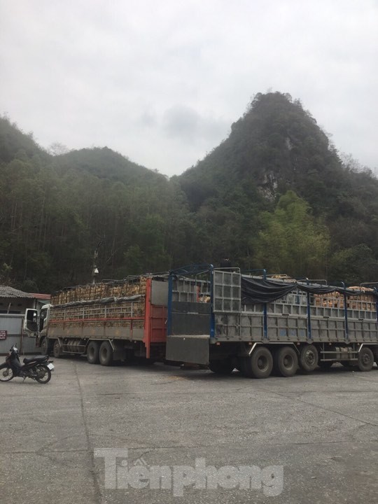 Thực chất việc mua bán hàng hóa cư dân biên giới Tân Thanh- Pò Chài - ảnh 2