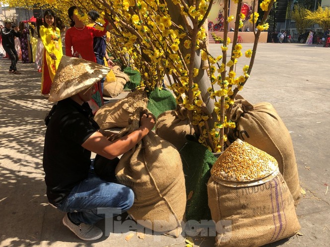 Tan hoang tiểu cảnh trang trí ở phố ông đồ - ảnh 9