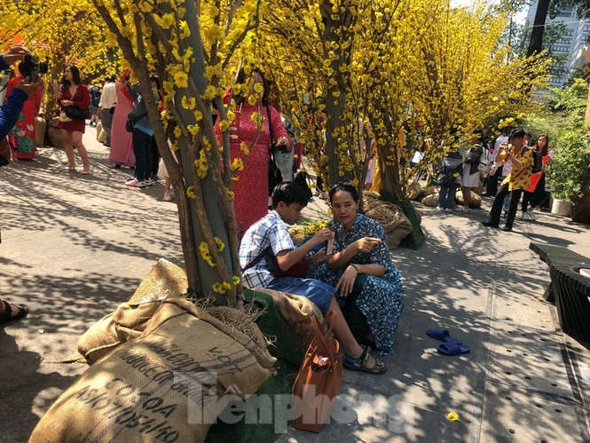 Tan hoang tiểu cảnh trang trí ở phố ông đồ - ảnh 11