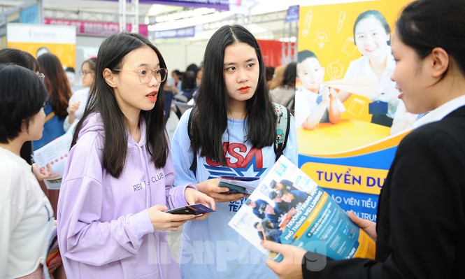 Ra mắt website Ngân hàng việc làm dành cho sinh viên - ảnh 5