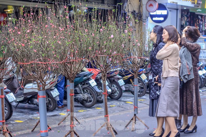 Không khí Tết ngập tràn phố phường Thủ đô - ảnh 10