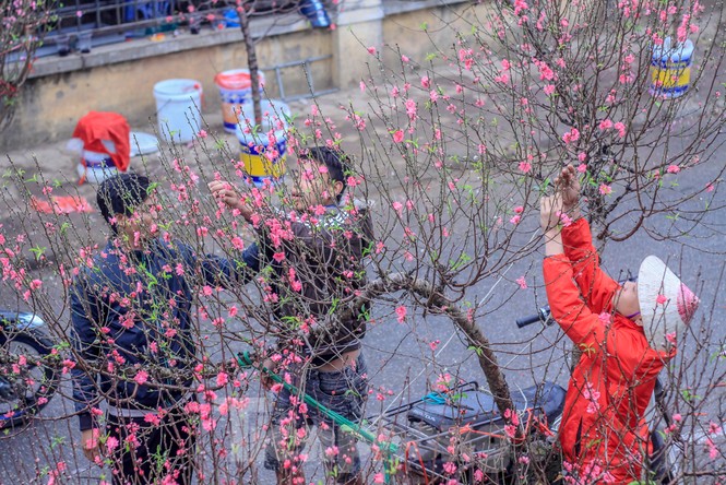 Không khí Tết ngập tràn phố phường Thủ đô - ảnh 11