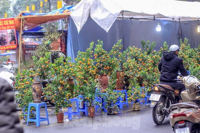 Không khí Tết ngập tràn phố phường Thủ đô - ảnh 7