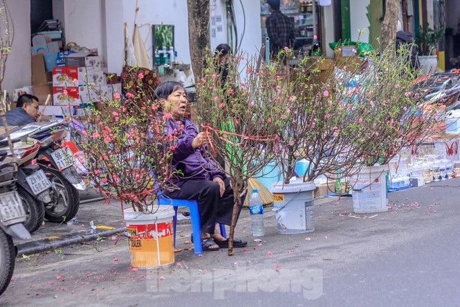 Không khí Tết ngập tràn phố phường Thủ đô - ảnh 9