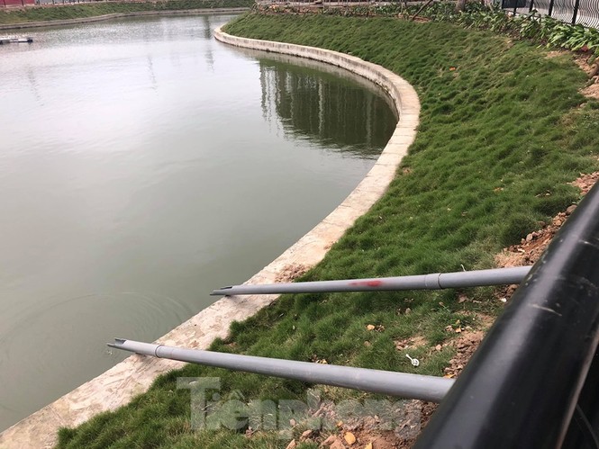 Dân chung cư Hà Nội cho cá chép 'đi cầu trượt' tiễn ông Táo - ảnh 1