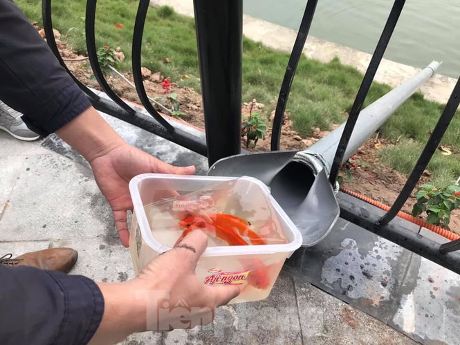 Dân chung cư Hà Nội cho cá chép 'đi cầu trượt' tiễn ông Táo - ảnh 4