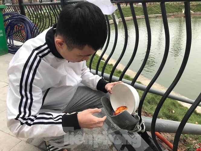 Dân chung cư Hà Nội cho cá chép 'đi cầu trượt' tiễn ông Táo - ảnh 6