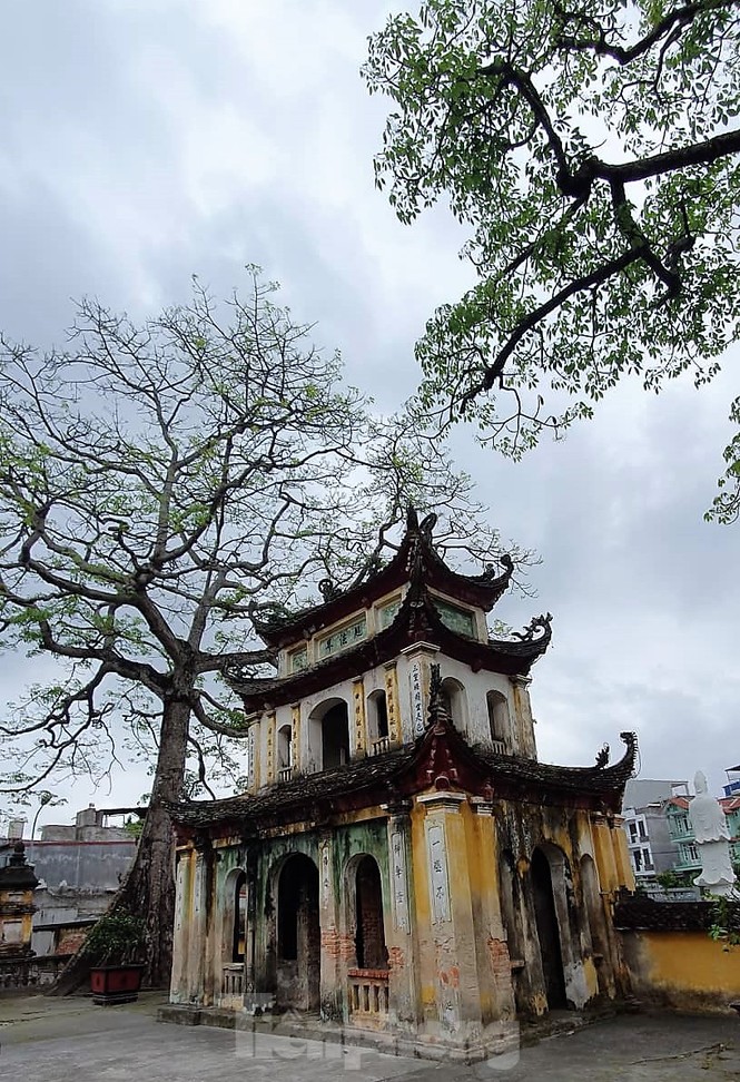 Vụ sư trụ trì dọa thả chó cắn phật tử: Hơn 3.000 hộ dân bức xúc đề nghị điều chuyển sư trụ trì - ảnh 1