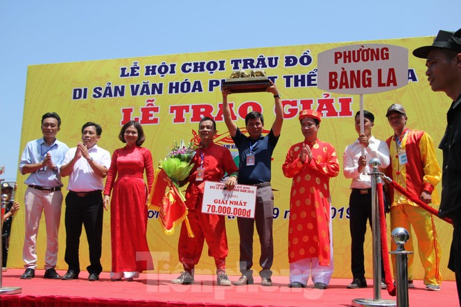 Ông trâu số 07 giành chức vô địch Lễ hội chọi trâu Đồ Sơn năm 2019 - ảnh 6