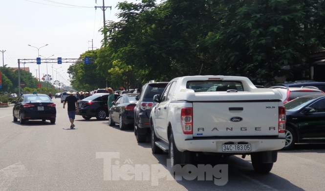 Chọi trâu Đồ Sơn, vô tư bán vé giả, bãi xe tự phát tha hồ