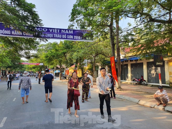 Chọi trâu Đồ Sơn, vô tư bán vé giả, bãi xe tự phát tha hồ