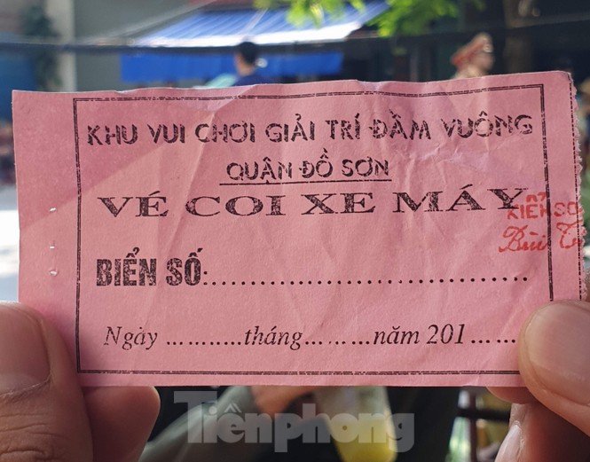 Chọi trâu Đồ Sơn, vô tư bán vé giả, bãi xe tự phát tha hồ