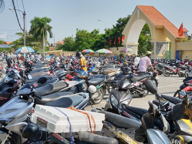 Chọi trâu Đồ Sơn, vô tư bán vé giả, bãi xe tự phát tha hồ